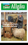 BLW Wochenblatt screenshot 7