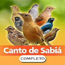 Canto de Sabiá Completo APK