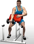 Programa de gimnasio captura de pantalla 2