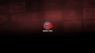 BRDG PRO Cartaz