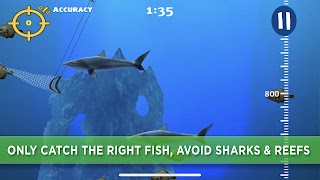 Perfect Catch स्क्रीनशॉट 2