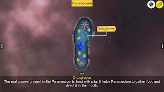 4 Schermata Learn Protozoa