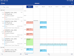 Servelec Screenshot 3
