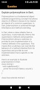 Dart Interview Question 스크린샷 3