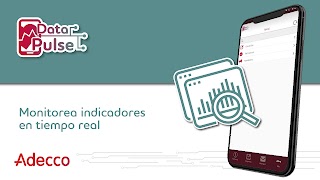 Data Pulse imagem de tela 2