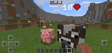 Damage Indicator Health Mod Minecraft スクリーンショット 4