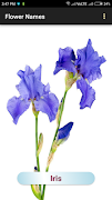 Flower Names imagem de tela 4