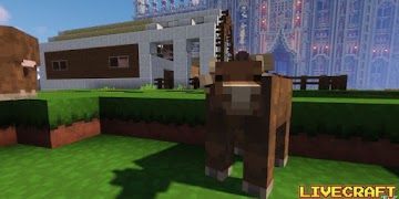 Live Craft Ekran Görüntüsü 7