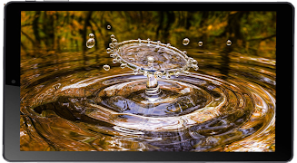 برنامه‌نما HD Wallpapers & Backgrounds عکس از صفحه