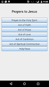 Catholic Prayers Ekran Görüntüsü 3