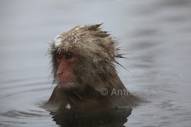 RawDroid Demo ภาพหน้าจอ 3