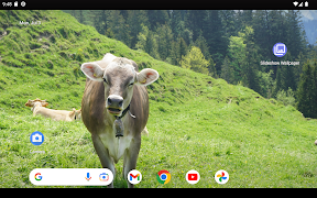 Slideshow Wallpaper imagem de tela 6