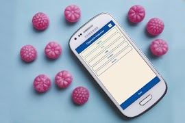 Census Re-validation ภาพหน้าจอ 5