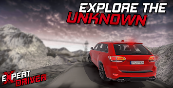 Expert Driver - Open World Dri اسکرین شاٹ 5