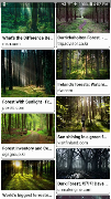 Image Search screenshot 2
