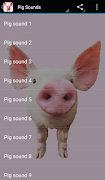 Pig Sounds screenshot 1