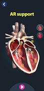 Human Anatomy 3D screenshot 2