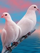 Image Sliding Puzzle 截圖 4