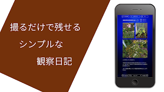 シンプル観察日記 ภาพหน้าจอ 6