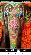 India Wallpapers screenshot 5