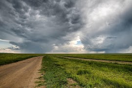 برنامه‌نما تصاویر پس زمینه و زمینه های مغ عکس از صفحه