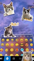 Cute Kitten Love screenshot 2