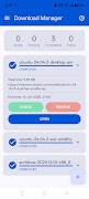 Download Manager Accelerator screenshot 4