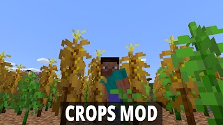 Vegetables Crops Mod Minecraft screenshot 5