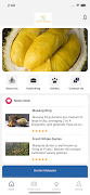 Happy Durian poster