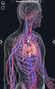 Circulatory System Anatomy capture d'écran 6