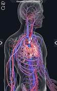 Circulatory System Anatomy screenshot 6