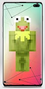 Frog Skin for Minecraft screenshot 2