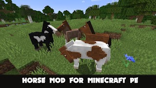 1 Schermata Horse Mod for Minecraft PE
