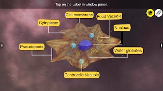 Learn Protozoa screenshot 1