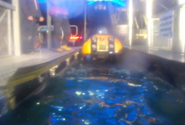 Waterlogs screenshot 6