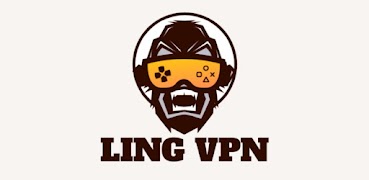 LING VPN plakat