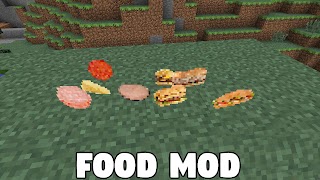 Food Mod for Minecraft PE ảnh chụp màn hình 7