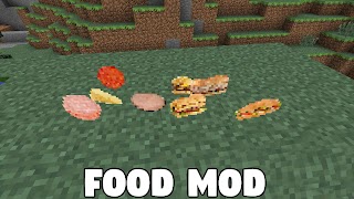 Food Mod for Minecraft PE ภาพหน้าจอ 7