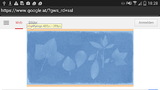 Debuggable Browser ảnh chụp màn hình 5