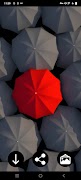 Fonds d'écran Parapluie capture d'écran 4