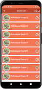 Buttonquail Sounds screenshot 2