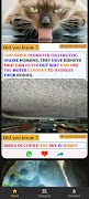 Factivational capture d'écran 4
