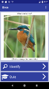 Bird Identifier โปสเตอร์