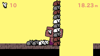 FerretForever Screenshot 3