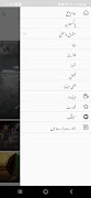 urdunews screenshot 3