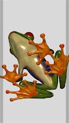 برنامه‌نما 3D Frog Skeleton عکس از صفحه