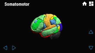 iBraiN スクリーンショット 3