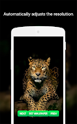 Leopard Wallpaper скриншот 1