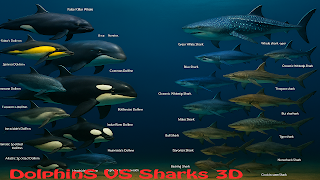 Dolphin Evolution: Ocean World syot layar 2