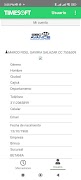 TimeSoft постер